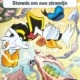 264.Donald Duck pocket - Stennis om een strandje